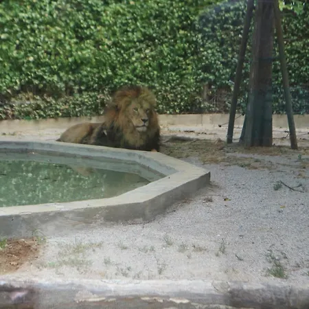 Salisburgo Apartament